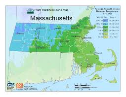 We did not find results for: Trees Shrubs Perennials For Massachusetts Naturehills Com