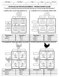 Redgreen color blindness is an xlinked recessive disorder. Punnett Square Coloring Worksheets Teaching Resources Tpt