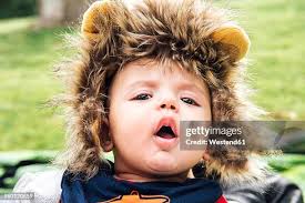 906 Head In Lion Mouth Stock Photos, High-Res Pictures, and Images