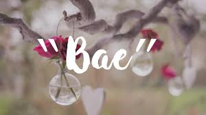 Adakah anda mempunyai nama inggeris? Arti Kata Slang Bae Dalam Bahasa Inggris Bahaso