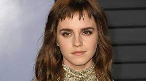 Daniel radcliff,daniel radcliffe,emma watson,rupert grint. Karriere Ende Und Verlobung Emma Watson Aussert Sich Zu Geruchten