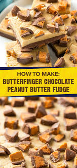 Chocolate Peanut Butter Fudge Dinner At The Zoo