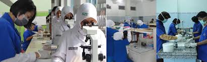Smk farmasi terbaik di surabaya. Smk Farmasi Sekesal Surabaya Beranda Facebook