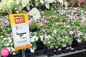 Maybe you would like to learn more about one of these? Home Depot Memorial Day Sale Deals Save Big On Flowers Plants Mulch Free Stuff Finder