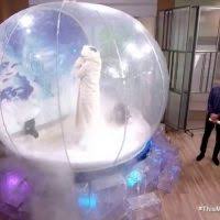 Check spelling or type a new query. Giant Inflatable Snow Globe Photo Booth Hire The Pod Group