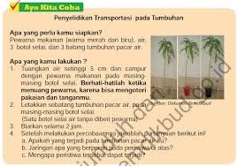 By mohd faizal hashim 14400 views. Sistem Transportasi Tumbuhan L O G O Pdf Download Gratis