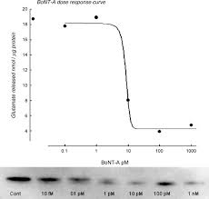 This may then be followed by weakness of the arms, chest muscles, and legs. Dosage De L Activite Toxine Botulique Vers Un Nouveau Dosage Sur Culture Cellulaire Sciencedirect