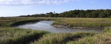 Maybe you would like to learn more about one of these? Jekyll Island Ga Guide To Jekyll Island Historic District Jekyll Island Club Hotel Summer Waves Water Park Georgia Golden Isles Jekyll Island Hotels Accommodations Sea Turtle Center Marshes Of Glynn Georgia