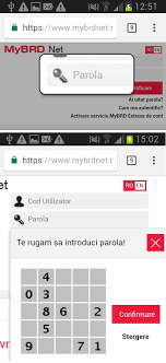 Filialele brd au acces limitat la conturile deschise in alte orase: Bancherul Clientii Brd Reclama Probleme La Utilizarea Mybrd Net Si Mybrd Mobile