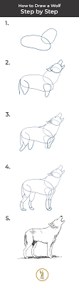 Check spelling or type a new query. Easy Step By Step Wolf Drawing Novocom Top