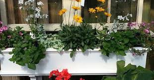 See more ideas about charleston, summerville, south carolina. Stacks Nursery Summerville Sc South Carolina Summerville Nursery