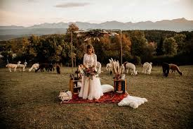 Was macht eine boho hochzeit aus? Inspiration Alpaka Love