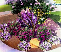 43 Corner Garden Ideas Design Corner Design Garden Ideas Corner Garden Corner Landscaping Desert Landscaping
