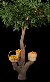 Artificial ornamental fruit trees attractive, colorful, symbolic well suited to hospitality environments, restaurants, and educational institutions. Artificial Mango Tree Treescapes Plantworks