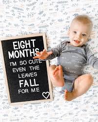 Happy 8 Months Happy Fall Baby Milestones Pictures Monthly Baby Pictures Baby Milestone Photos