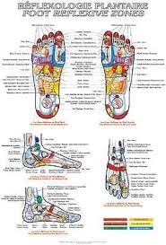 Foot Reflexive Zones Reflexology Massage Body Map Acupunture