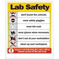 One of the most major problems of writing an undergraduate article is the lack of access to a laboratory and a professor to check the accuracy of article information in the laboratory. Pvc Safety Precautions Printed Poster 2 12 Mm Rs 100 Square Feet Dharshan Adss Id 8637003030