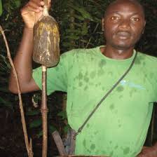 Image result for Coula