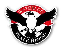 the ushl arena travel guide young arena waterloo black