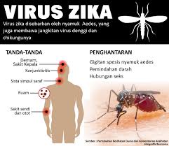 Campurkan sesudu garam dengan sedikit air, jangan biarkan garam larut. Virus Zika Kini Menyerang Malaysia Suria Amanda