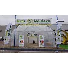 Maybe you would like to learn more about one of these? Solarii Ieftine Solar Hobby Legumes