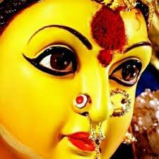 Search by hair color, eye color, height, weight, & blood type. How And Where Does Fertilization Take Place In Human Beings Brainly In