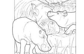 Menggambar dan mewarnai kudanil lucu | drawing and coloring cute hippopotamus#cazdrawing #kudanil #hipopotamus Mewarnai Gambar Keluarga Kuda Nil Ebook Anak