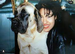 Chris And Selena S Dogs Taylor And Winny Dogs Animals Selena