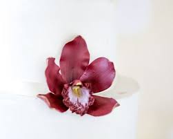 Burgundy Cymbidium Orchid Sugar Flower Etsy In 2020 Sugar Flowers Cymbidium Orchids Orchids
