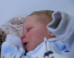 Darren by Joyce Angel from Angels Nursery