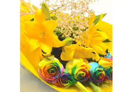 Flower delivery melbourne from just $25. R3 Rainbow Roses Flower Bouquet Sophia Flowers Templestowe Lower Florist Vic 3107