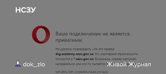 Реалізація державної політики у сфері державних. Nszu