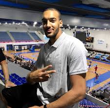 (the stifle tower, the french rejection, the gobert report, gobzilla). Facebook