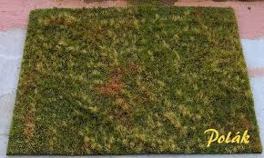 Kinder können damit auch draußen spielen. Landschaftsmatte Mit Wiese Unbepflegt Variante G