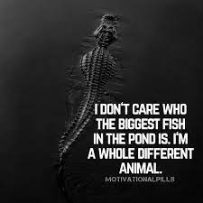 Motivational Pills On Instagram Best Caption Wins Motivationalpills Beautiful Quotes Inspirational Quotes Motivation