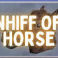 Live Music from Whiff of Horse event in Banbury