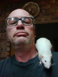 Thats my 3 babies ❤️❤️❤️