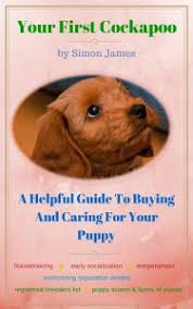 I am a hobby breeder specializing in cockapoos, bichipoos, and soon golden doodles. Cockapoo Rescue Midlands And East Anglia