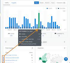 Stats And Insights – Wordpress.com Support