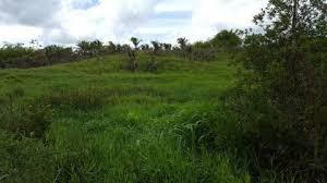 We are selling agriculture land with clear documents. Agricultural Land For Sale Trinidad And Tobago Www Fair Deal Real Estate Net Agricultural Land For Sale Trinidad Agricultural Land