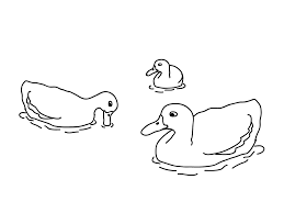 But they should start labeling the colors between the ages of 2 and 3. Duck Coloring Pages Best Coloring Pages For Kids