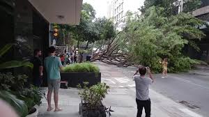 CAOS NO RIO! Uma forte ventania de mais de 100km/h deixou a cidade e a  Baixada Fluminense sem luz. Trem e linha 2 do metrô estão parados. Muitas  quedas de árvores e