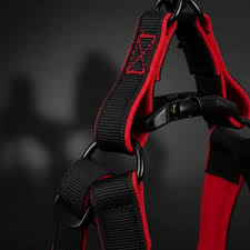 CORREA Y PRETAL CON NEOPRENE 2.5 cm GRANDE — foto 2