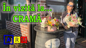 A primit flori și cadouri de la familie și de la apropiați. Sunt InsÄƒrcinatÄƒ Angela Rusu Primul Vlog Pe Youtube Familia Arm Se MÄƒreÈ™te Youtube