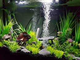 Biorb halo aquarium with led light. Fish Tank Design Album On Imgur