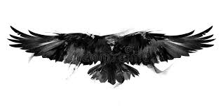 Bird Flying Into Window Meaning Isolated Black And White Illustration Of A Flying Bird Crow Front Isolated Blac Sponsored White Illustratio Raven Tattoo Black Crow Tattoos Crow Tattoo