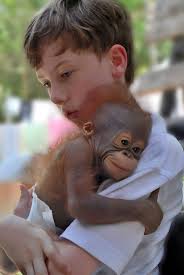 Rate this cuteness 0-10 😍🥰