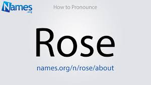 Blackpink facts and ideal types blackpink (블랙핑크) consists of 4 members: How To Pronounce Rose Youtube