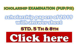 Pin On Scholarship 5th And 8th Test 2020