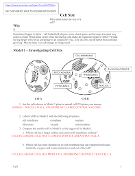 In what type of environment is this cell found? Cell Size Key
